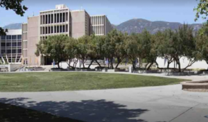 Read more about the article Friends of BHI from the Inland Empire