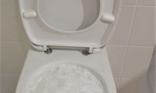Reasons Why Your Toilet Won’t Flush All the Way